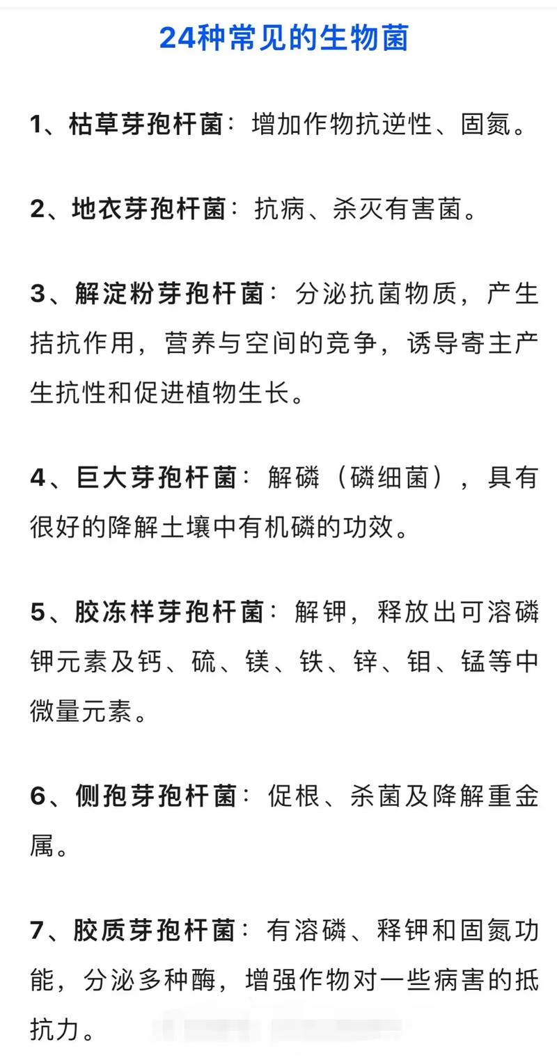 admin 第28页