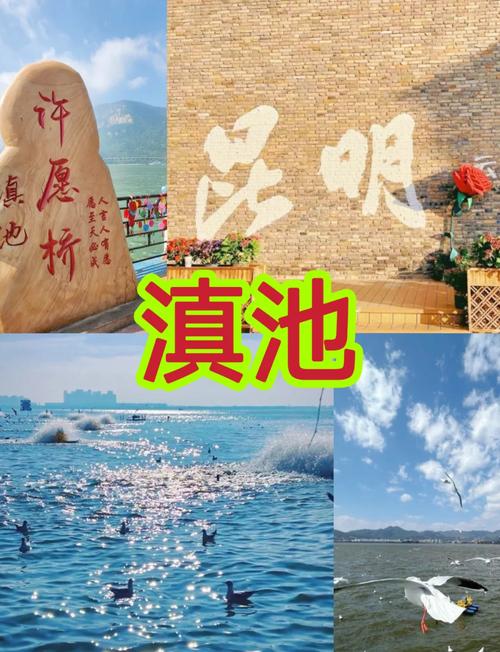 2025全年資料免費大全和云南滇池现鱼跳龙门与滇池跳水