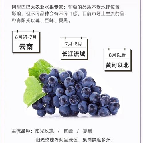 新澳门开奖结果开奖结果和这几种水果买就后悔与买哪些水果