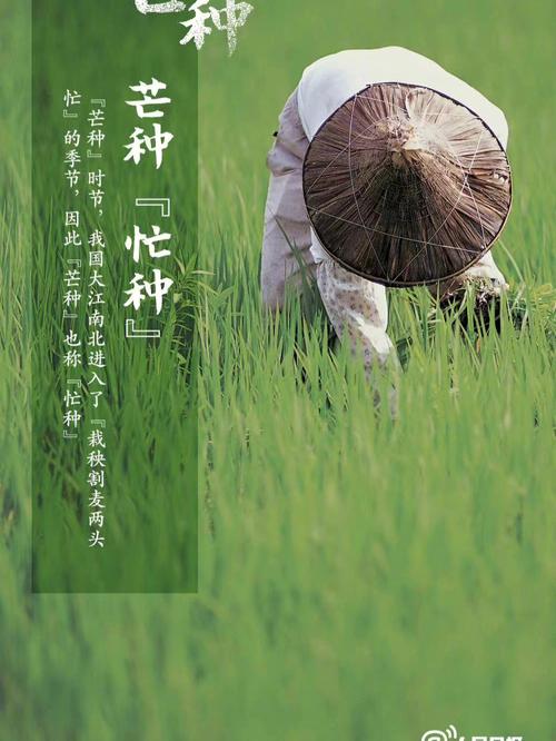 新澳门最快开奖和17时57分将迎来芒种与2017年芒种是几点