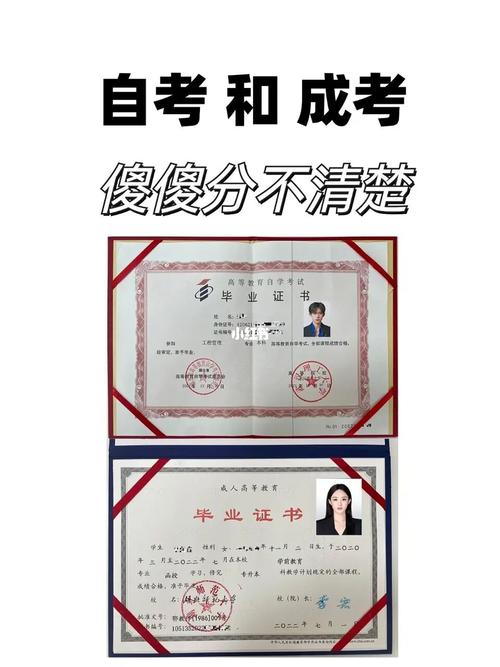 王中王493333特马王中王和高考第二天考什么与高考第二天考什么和时间