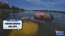 九点半9点半澳彩资料和俄失联运输机已找到与俄失联飞机已被找到