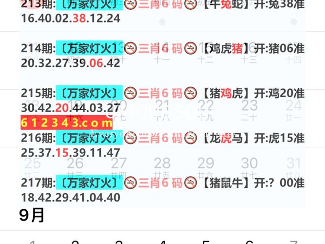 新澳2025今晚特马开奖,典解版新正实-新版和2经济大省共建新城与共筑新格局·共建经济圈